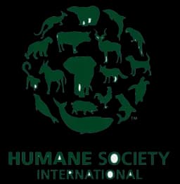 logo-4
