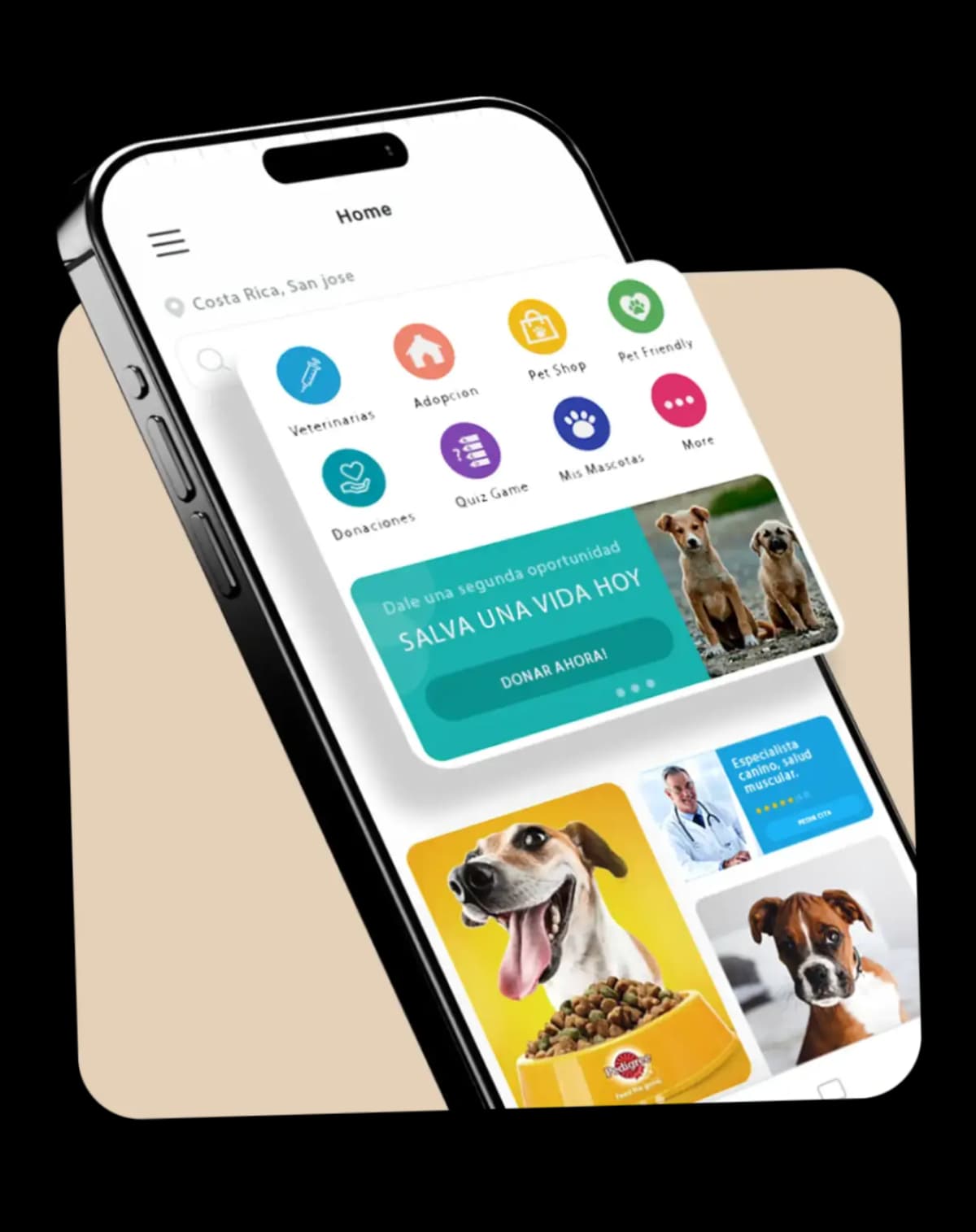 app image